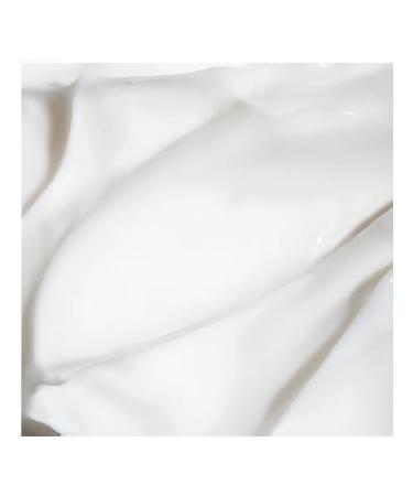 La Sultane de Saba Hand cream Ginger Green Tea 50ml - Buy Online on GoSupps.com