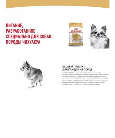 ROYAL CANIN Dry food chihuahua adult for Chihuahua from 8 months 1.5 kg - Buy Online on GoSupps.com