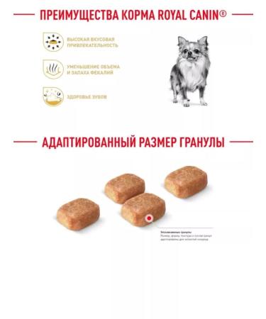 ROYAL CANIN Dry food chihuahua adult for Chihuahua from 8 months 1.5 kg - Buy Online on GoSupps.com