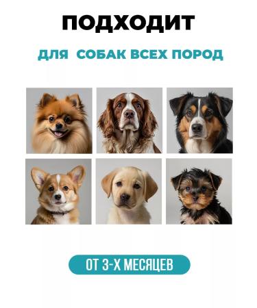 Spets Smell dog shampoo hypoallergenic 500 ml - Buy Online on GoSupps.com