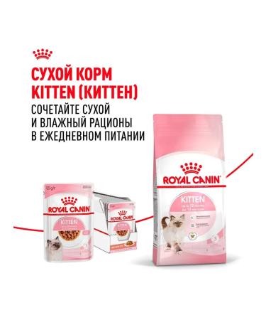ROYAL CANIN Kitten Kitten kittens in sauce 85 g 28 pcs - Buy Online on GoSupps.com