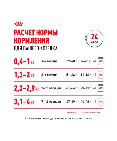 ROYAL CANIN Kitten Kitten kittens in sauce 85 g 28 pcs - Buy Online on GoSupps.com