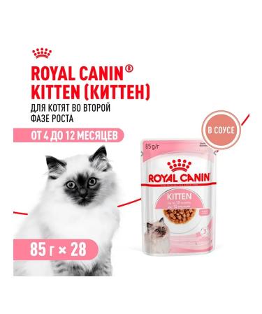 ROYAL CANIN Kitten Kitten kittens in sauce 85 g 28 pcs - Buy Online on GoSupps.com
