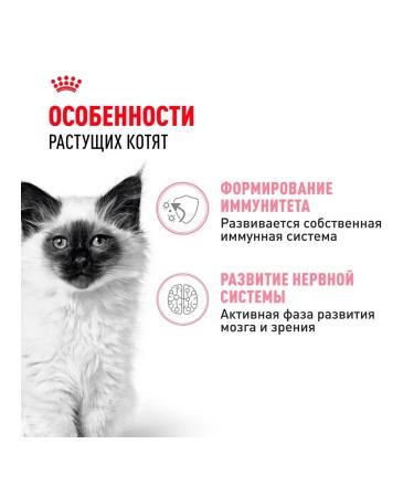 ROYAL CANIN Kitten Kitten kittens in sauce 85 g 28 pcs - Buy Online on GoSupps.com