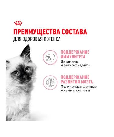 ROYAL CANIN Kitten Kitten kittens in sauce 85 g 28 pcs - Buy Online on GoSupps.com