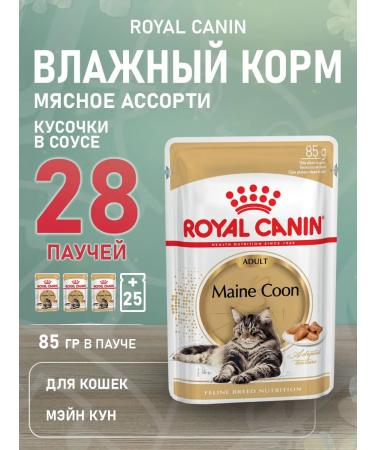 ROYAL CANIN Cat food moist Main Coon Maine Kun 85 g 28 pcs
