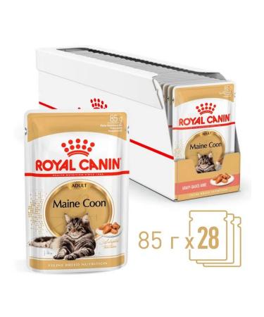 ROYAL CANIN Cat food moist Main Coon Maine Kun 85 g 28 pcs - Buy Online on GoSupps.com