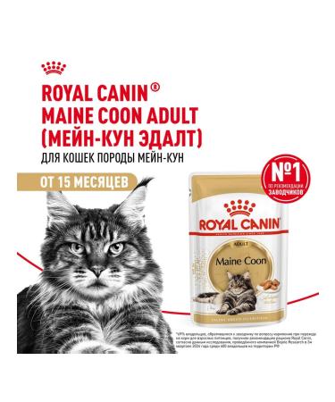 ROYAL CANIN Cat food moist Main Coon Maine Kun 85 g 28 pcs - Buy Online on GoSupps.com