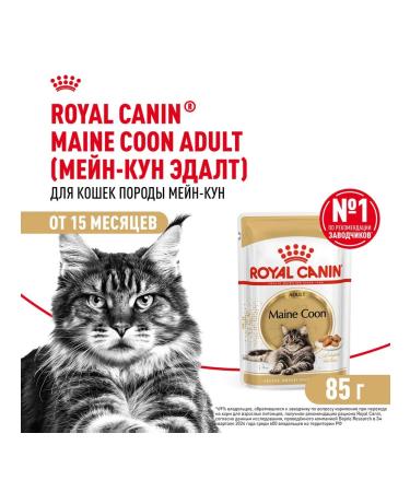 ROYAL CANIN Cat food moist Main Coon Maine Kun 85 g 28 pcs - Buy Online on GoSupps.com