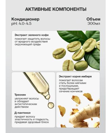 Tashe Moisturizing conditioner for hair - Buy Online on GoSupps.com