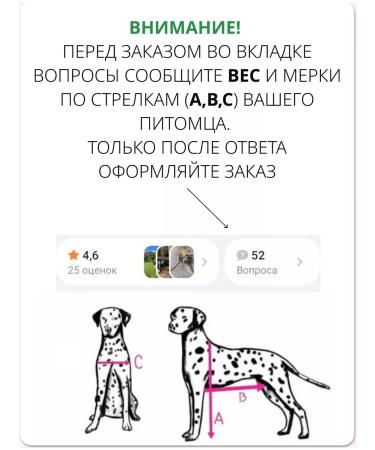 Liras Invalued stroller for dog paws from 41 to 60 kg - Buy Online on GoSupps.com