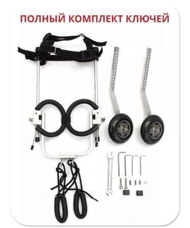 Liras Invalued stroller for dog paws from 41 to 60 kg - Buy Online on GoSupps.com