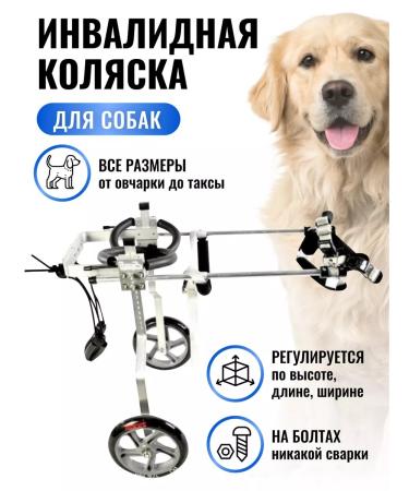 Liras Disabilities for large dogs on the hind legs - Buy Online on GoSupps.com