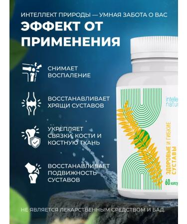 INTELLIGENCE OF NATURE Osteogis for joints and ligaments from pain - Buy Online on GoSupps.com