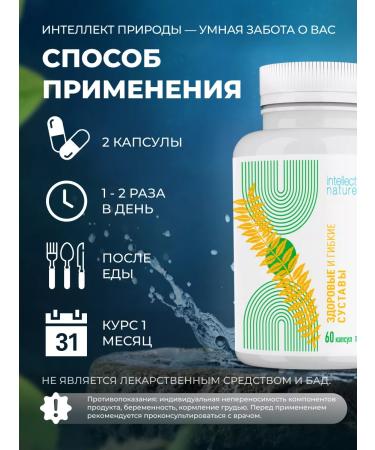 INTELLIGENCE OF NATURE Osteogis for joints and ligaments from pain - Buy Online on GoSupps.com