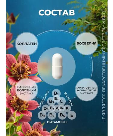 INTELLIGENCE OF NATURE Osteogis for joints and ligaments from pain - Buy Online on GoSupps.com