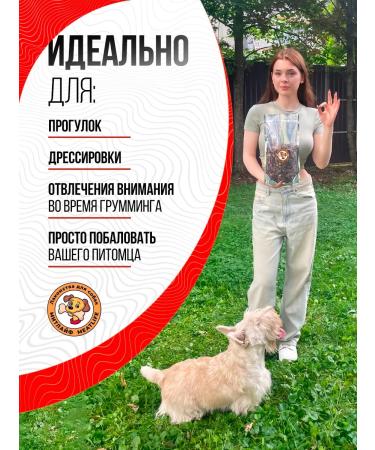 Meatlife Beef light 100 grams s treating dogs - Buy Online on GoSupps.com