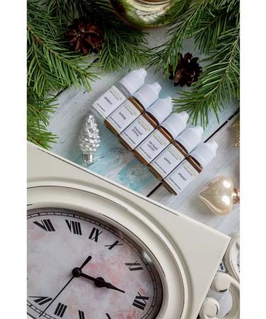 Contur Professional Set Mineral pigments for eyebrow contour - Buy Online on GoSupps.com