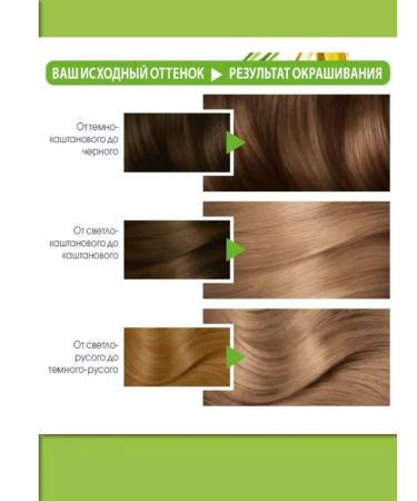 Garnier Hair dye 7.1 alder 2 pcs - Buy Online on GoSupps.com