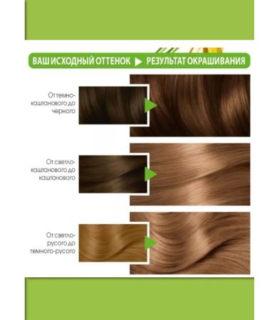 Garnier Hair dye cream 7 cappuccino 2 pcs - Buy Online on GoSupps.com