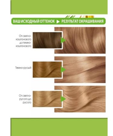 Garnier Hair dye cream 8 wheat 2 pcs - Buy Online on GoSupps.com