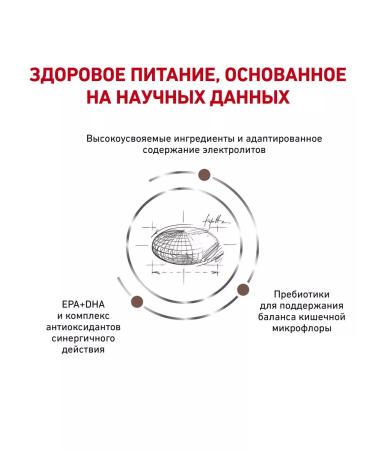 ROYAL CANIN GastroinTestinal food (gastrointestinal) for dogs 2 kg - Buy Online on GoSupps.com