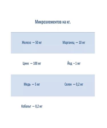 Bisco Light with excess weight and for elderly dogs 3 kg - Buy Online on GoSupps.com