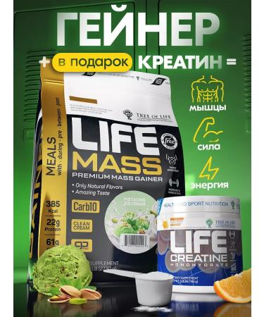 Tree of Life Set of sports nutrition Heiner and Creatine