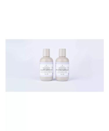 SINESIA Shampoo-puer for deep hair cleansing 50 g - Buy Online on GoSupps.com