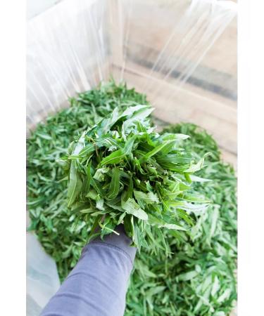 Taste of the North Ivan tea with mint 40 g - Buy Online on GoSupps.com