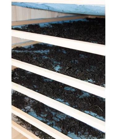 Taste of the North Ivan tea with mint 40 g - Buy Online on GoSupps.com