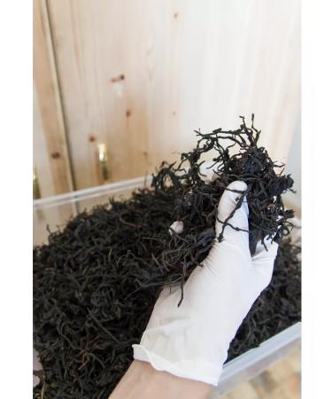 Taste of the North Ivan tea with mint 40 g - Buy Online on GoSupps.com