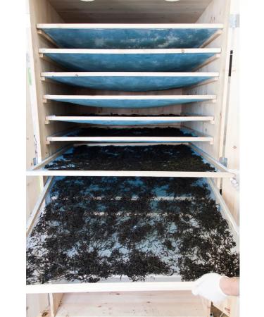 Taste of the North Ivan tea with rosehip 40 g - Buy Online on GoSupps.com