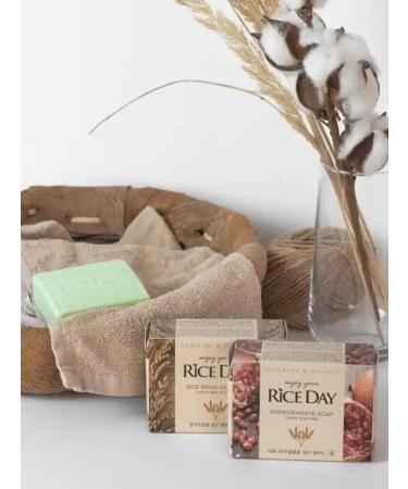 Lion RiceDay Soap (YOON) toilet soap with rice brans 100G - Buy Online on GoSupps.com