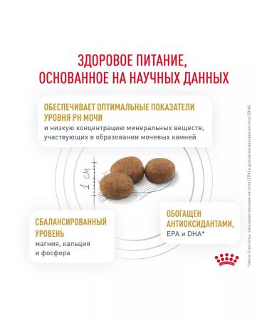 ROYAL CANIN Form Urinary S.O Urinaries S.O for dogs 2kg - Buy Online on GoSupps.com