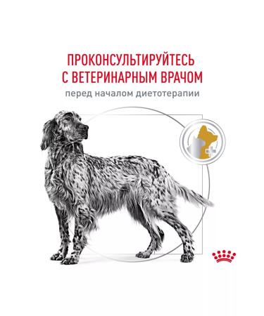 ROYAL CANIN Form Urinary S.O Urinaries S.O for dogs 2kg - Buy Online on GoSupps.com