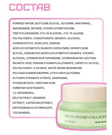 MIZON Daily moisturizer for face cream with phytollagen 50 ml - Buy Online on GoSupps.com