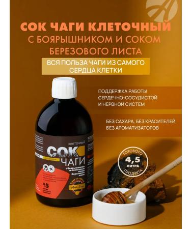 Art Life Chaga juice to support the work of the cardiovascular system