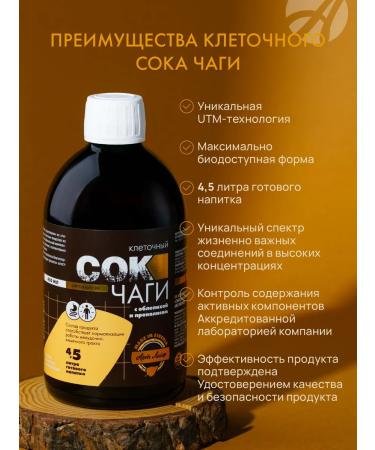 Art Life Chaga juice to support the work of the digestive tract artlaif - Buy Online on GoSupps.com