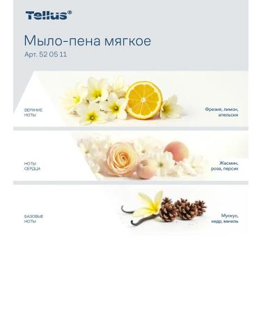 Tork Liquid soap-pen is soft for a dispenser 2 pieces - Buy Online on GoSupps.com