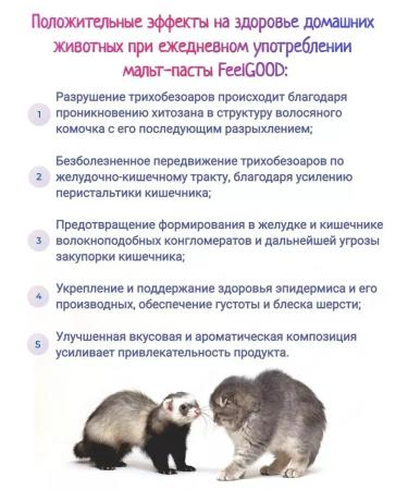 Feel Good Malt paste with a chitosan for Knock cats and ferrets 75 ml - Buy Online on GoSupps.com