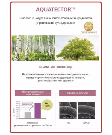 Atomy Protein shampoo for hair restoration - Buy Online on GoSupps.com