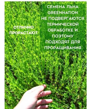 FLAX SEEDS GREENNATION Flax seeds of brown 3 kg for salad and weight loss - Buy Online on GoSupps.com