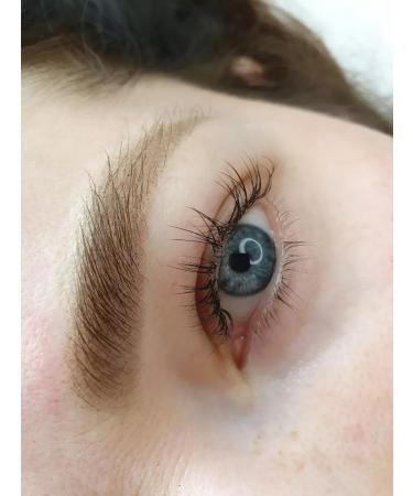 SHEFER Pigment for permanent makeup and eyebrow tattoo - Buy Online on GoSupps.com