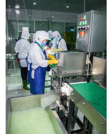 HUPO Aloe Vera drinking drinking with pulp (2 liters) - Buy Online on GoSupps.com