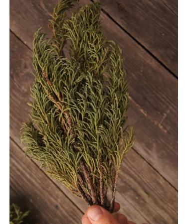 Herbalists of Siberia Artysh shaman grass bundle 1 pc 100 g