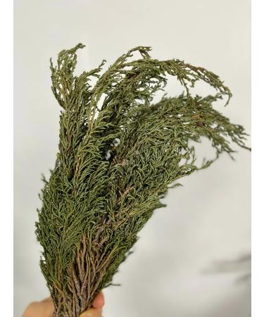 Herbalists of Siberia Artysh shaman grass bundle 1 pc 100 g - Buy Online on GoSupps.com