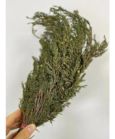 Herbalists of Siberia Artysh shaman grass bundle 1 pc 100 g - Buy Online on GoSupps.com