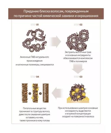 Atomy Herbal Herbal 500 ml hair shampoo - Buy Online on GoSupps.com