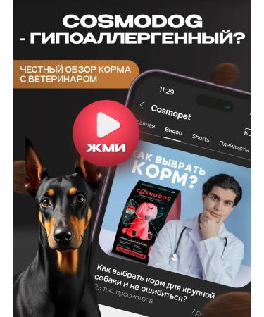 cosmodog Dry food for dogs 2 kg hypoallergenic with beef - Buy Online on GoSupps.com